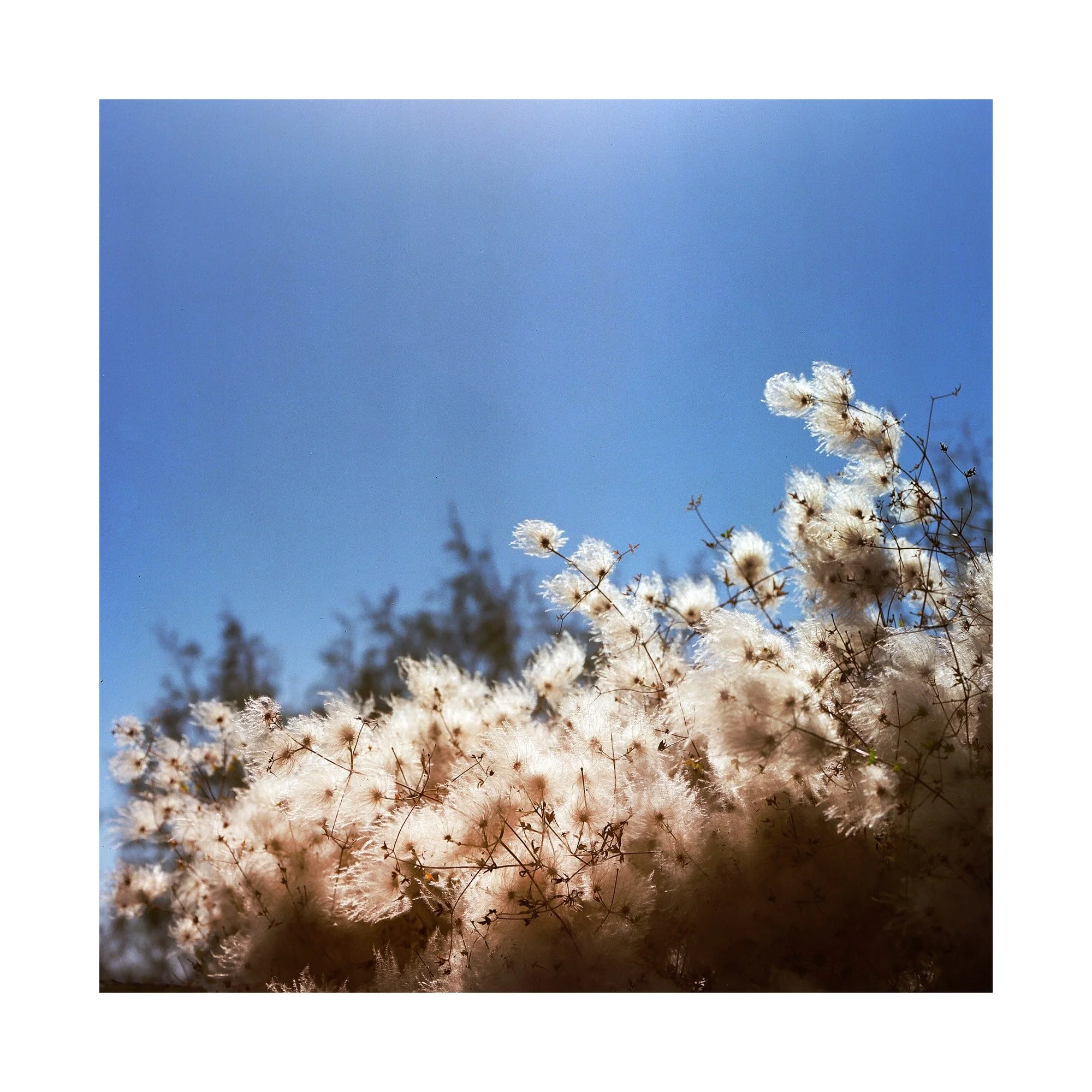 FINE ART  074-min.JPG