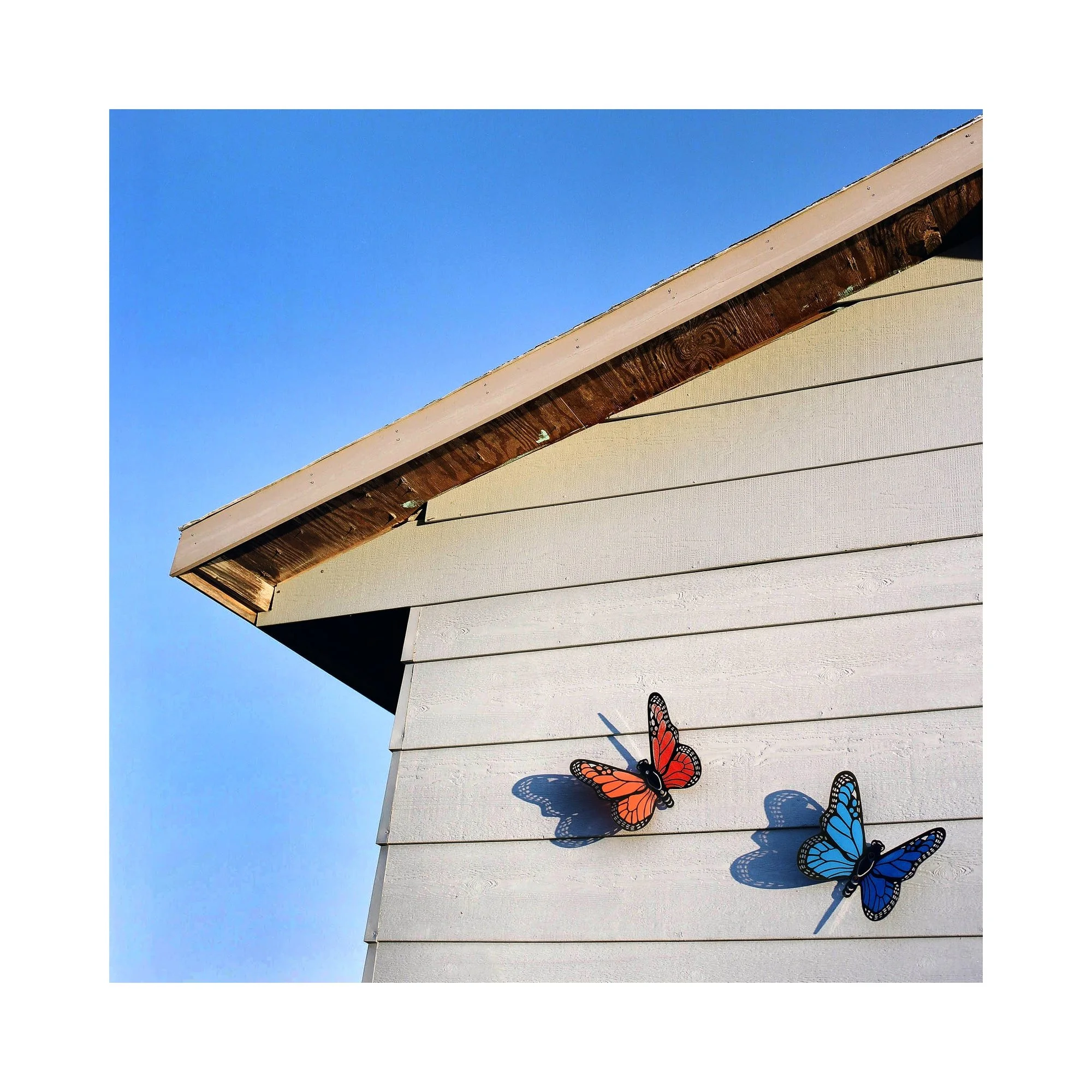 FINE ART  055-min.JPG