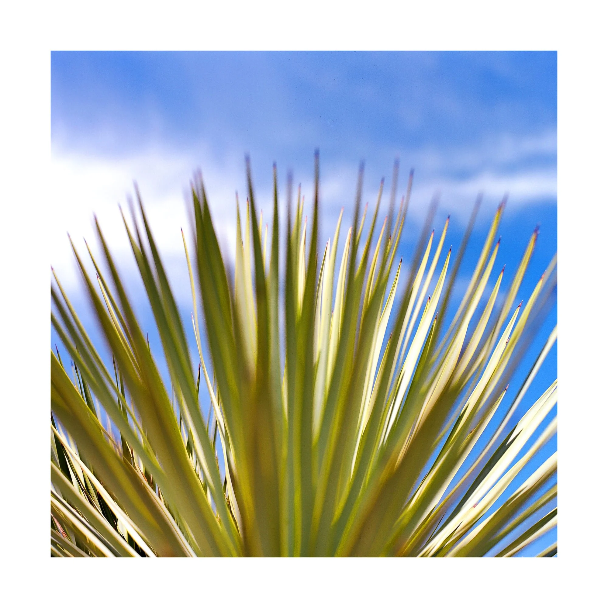 FINE ART  073-min.JPG