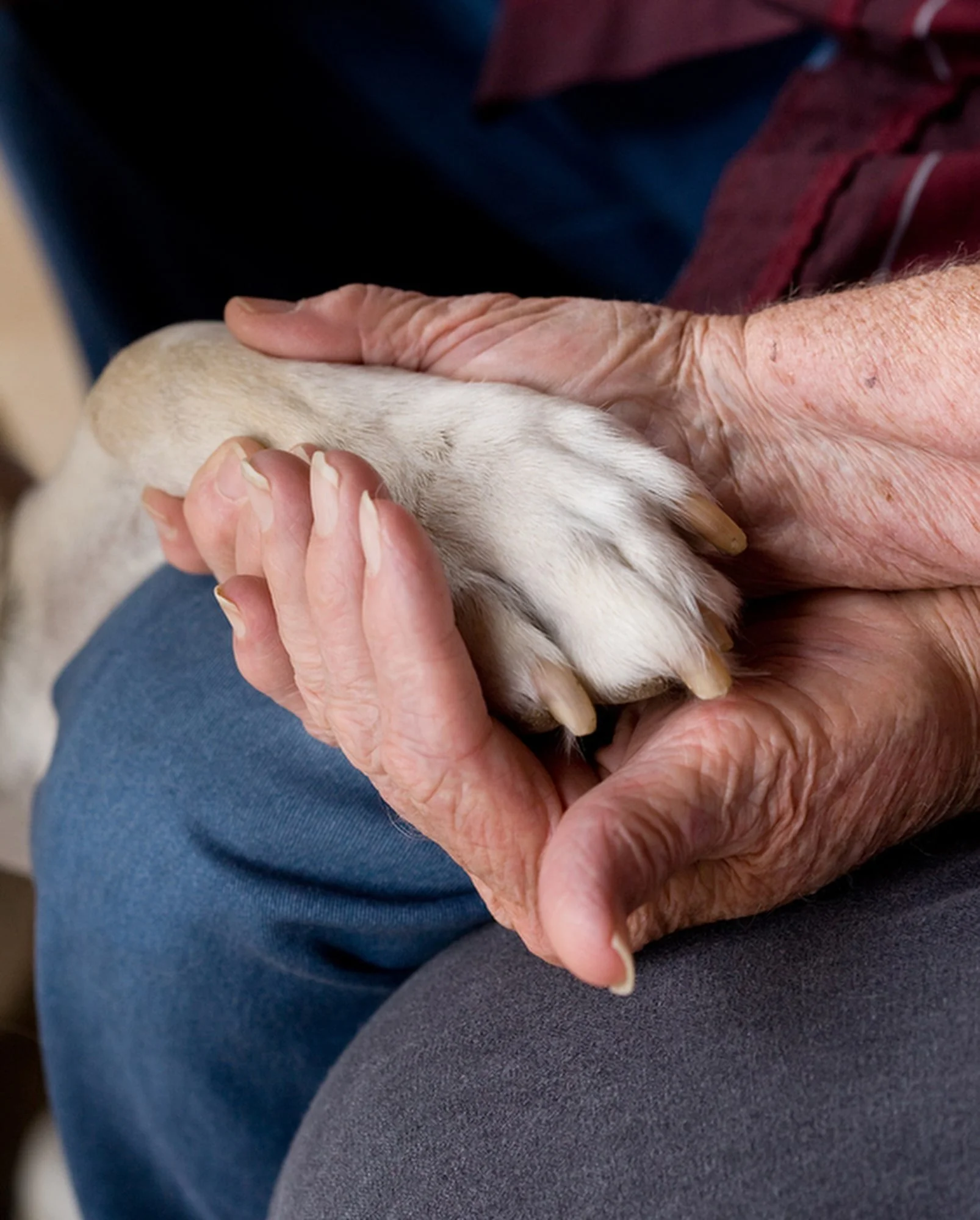 EDITORIAL  056-min.JPG