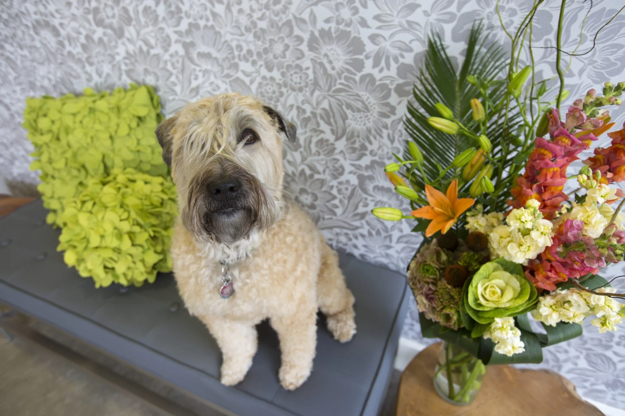 PEOPLE _ PETS  021-min.JPG