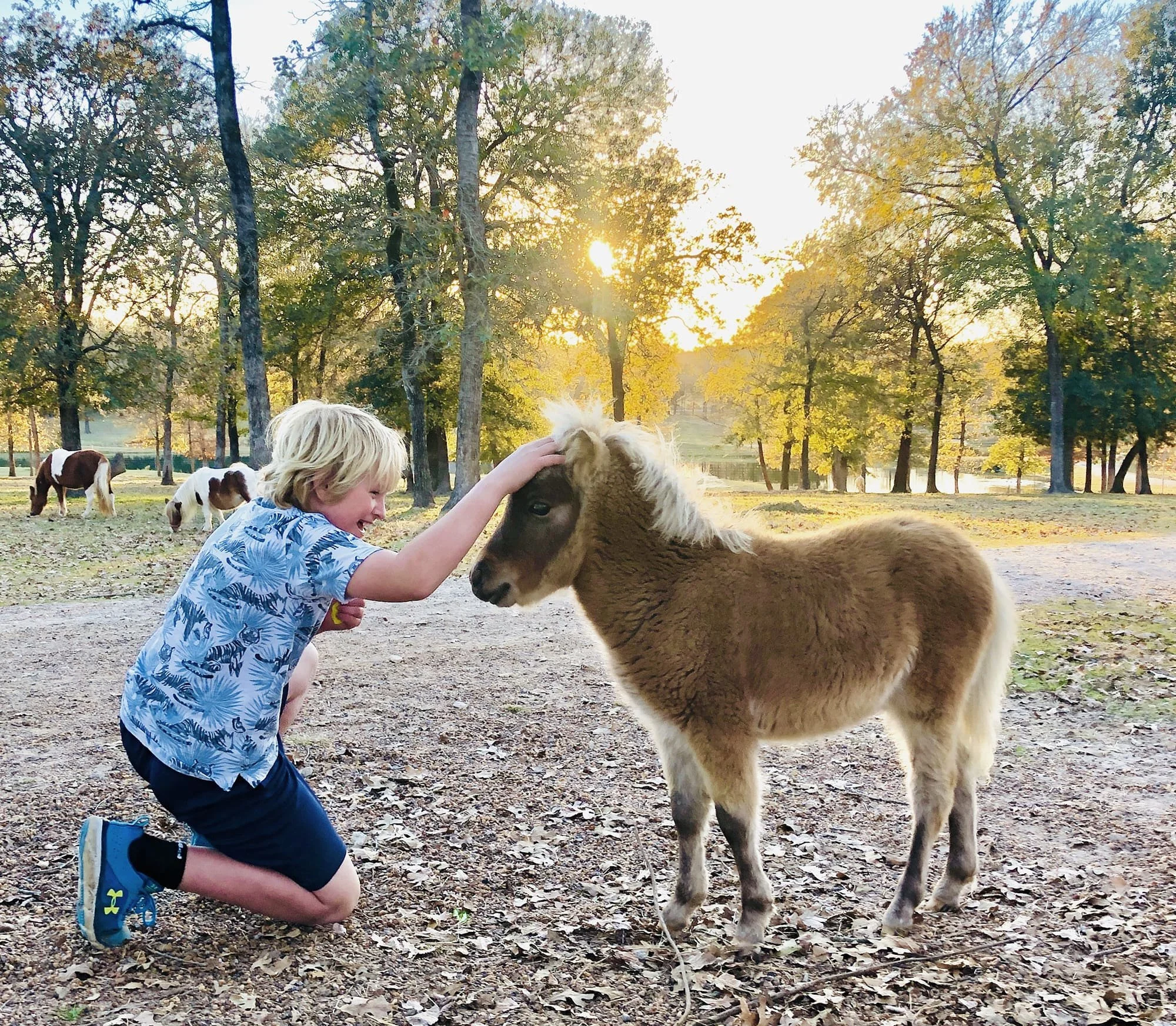 PEOPLE _ PETS  051-min.JPG