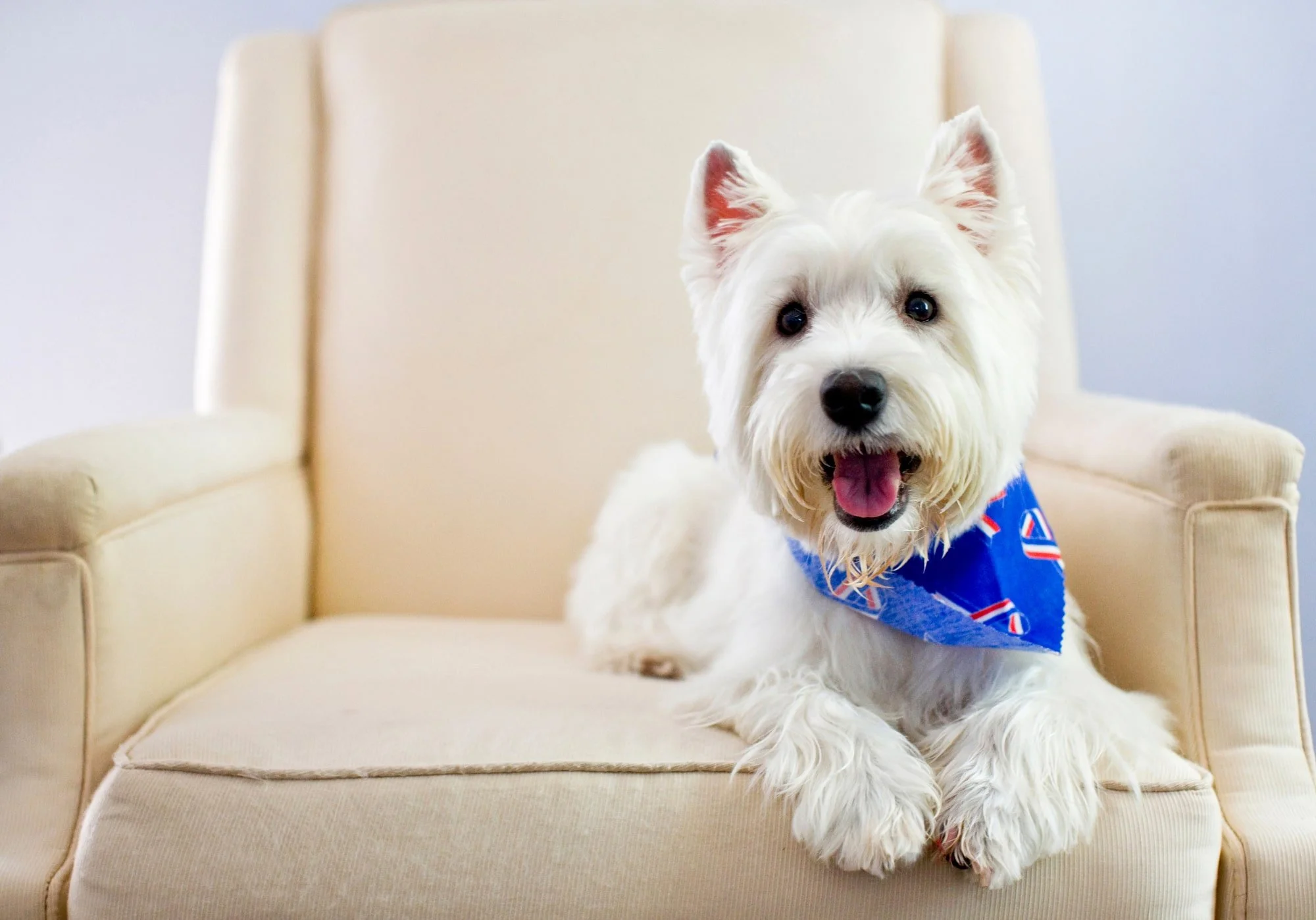 PEOPLE _ PETS  019-min.JPG