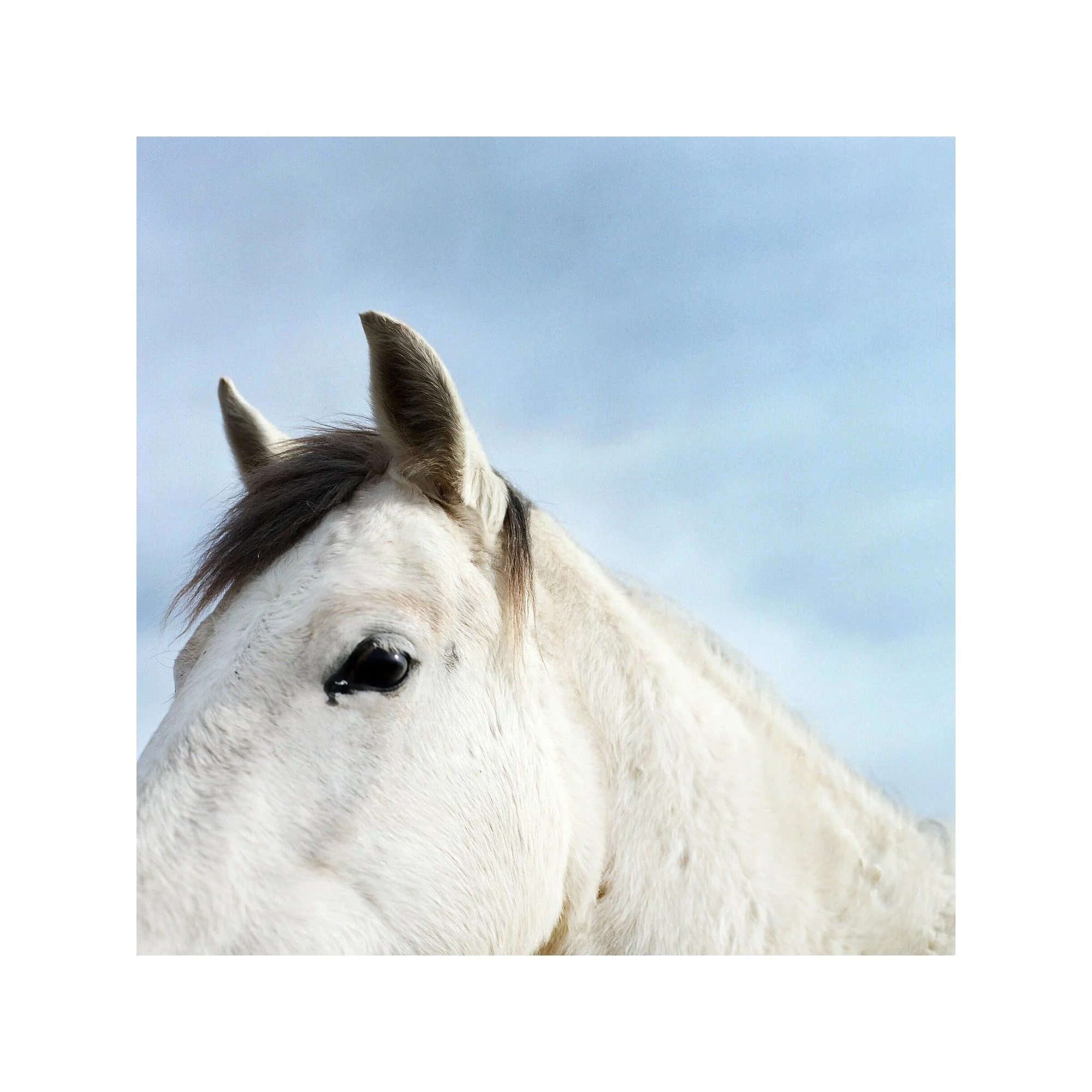 FINE ART  072-min.JPG