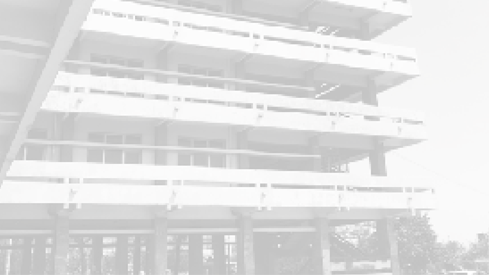 Welcome — Modern Sudan Collective