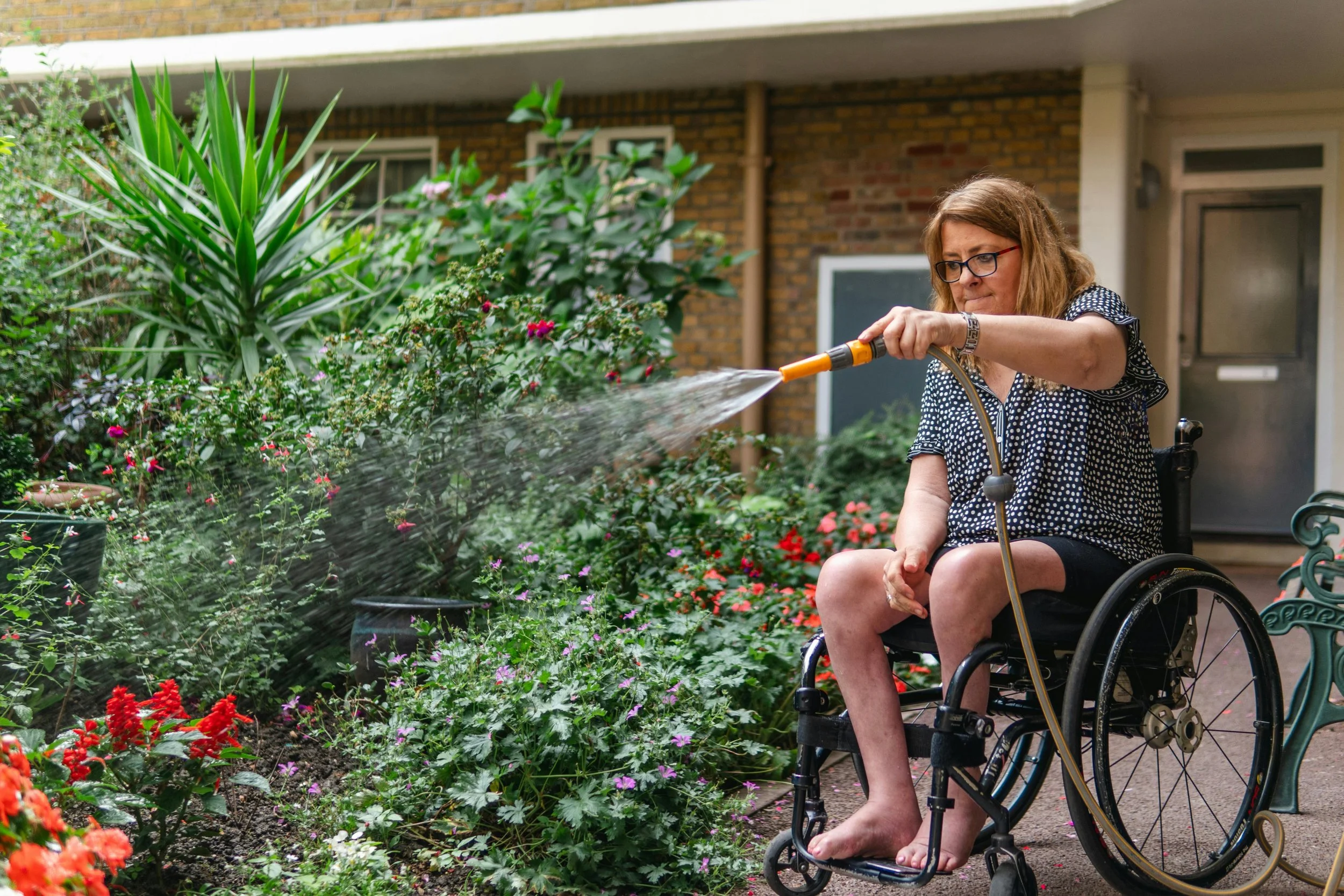 Woman in a wheelchair watering colorful flowers in a garden.