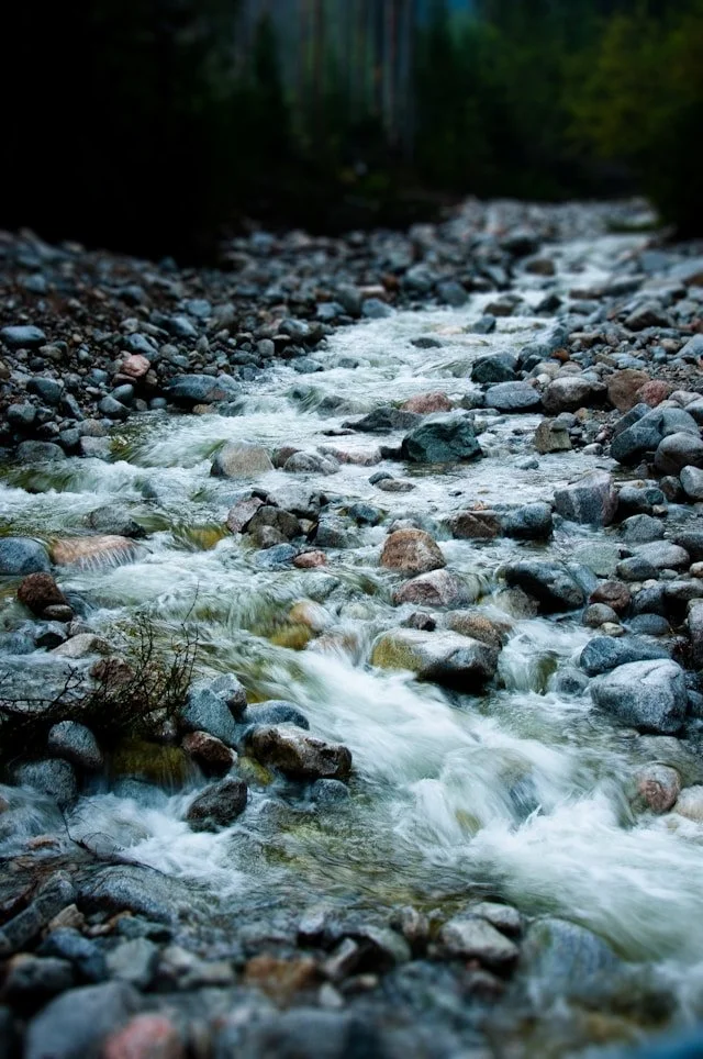 Lifestream