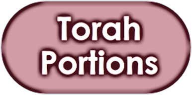 Elul Unbound 2019 Torah Portions Button.png