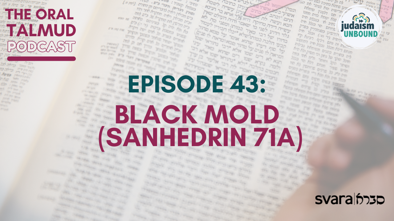 The Oral Talmud Episode 43: Black Mold (Sanhedrin 71a)