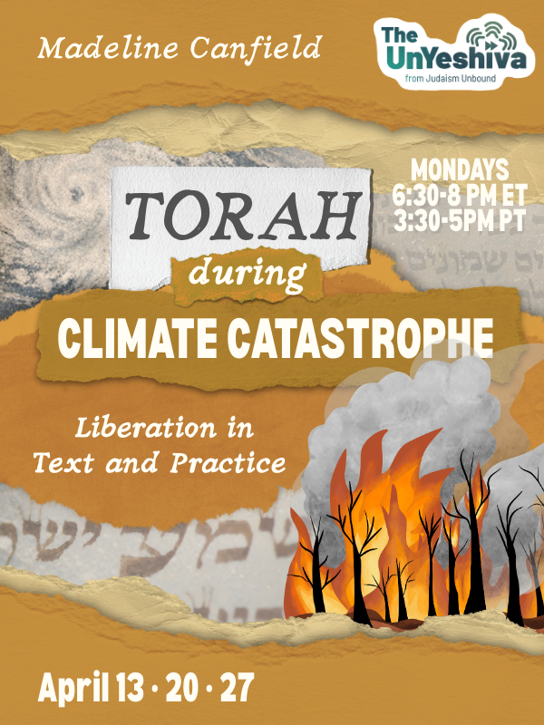 Torah during Climate Catastrophe: Liberation in Text and Practice