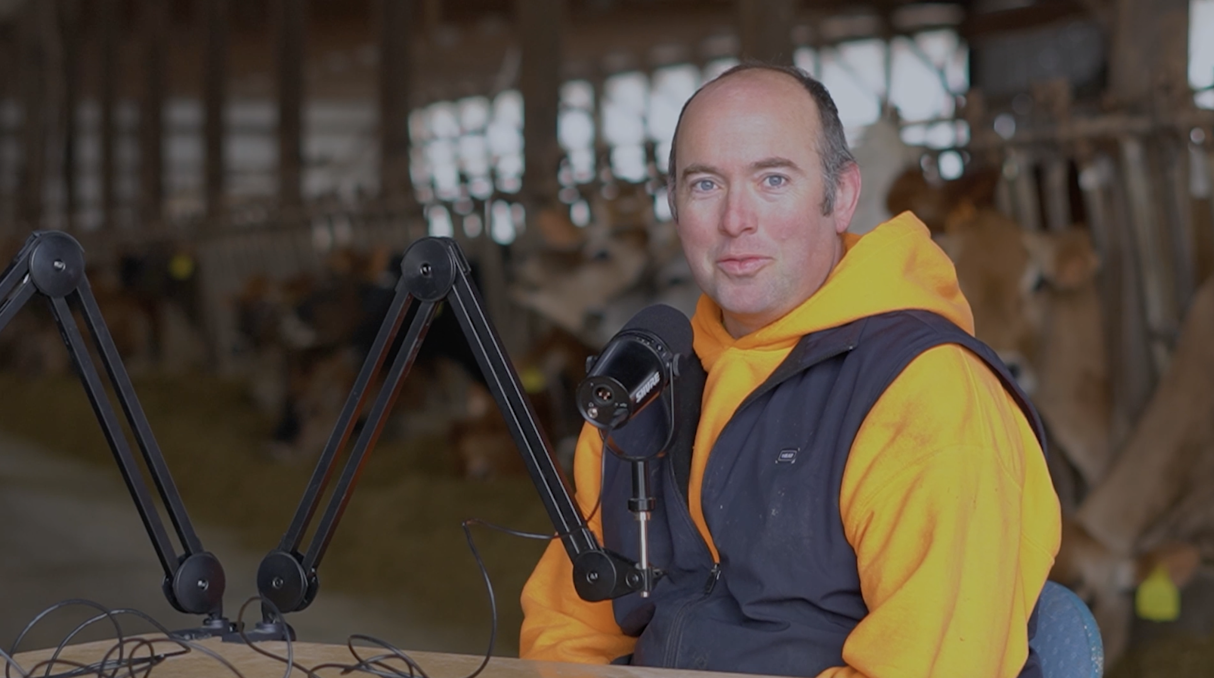 Ep. 338 Are Small Dairy Farms Actually Viable??