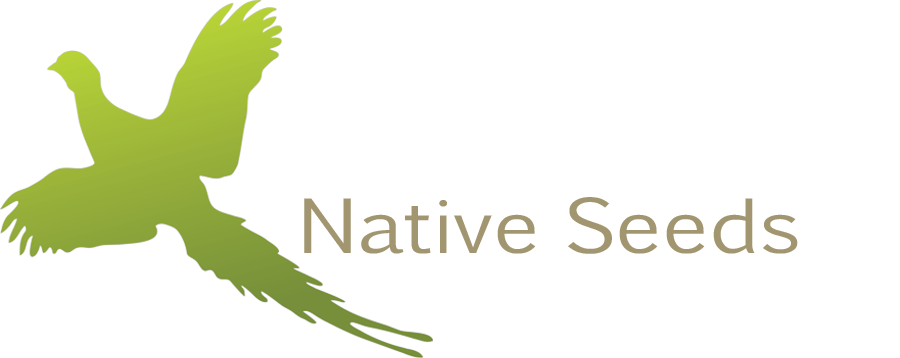 Hoksey Native Seeds