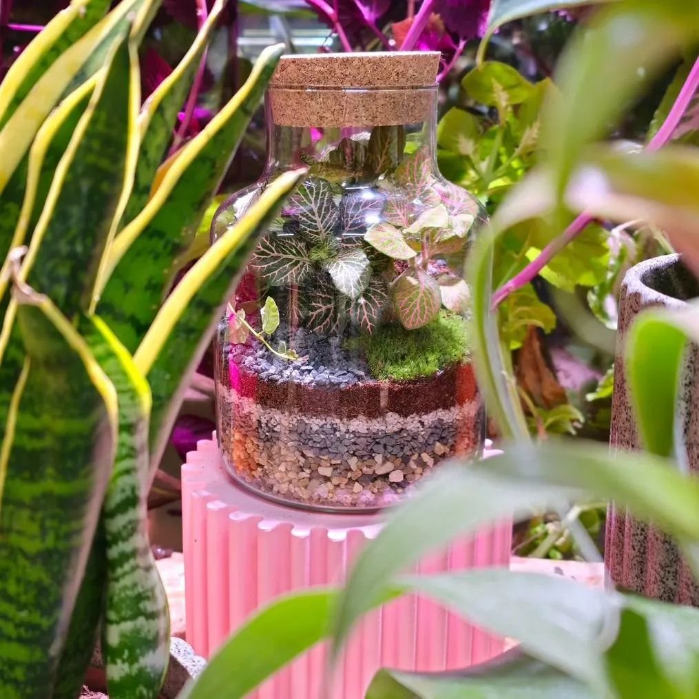 🌎🌿TRADER NO.27🌿🌎 

@terrapy

Seb makes the most wonderful terrariums.

These enchanting little worlds are the gift that keeps giving. Each one mindfully hand crafted in kent.

10% of profits go to social equality and planet.

Trading on the 30th 