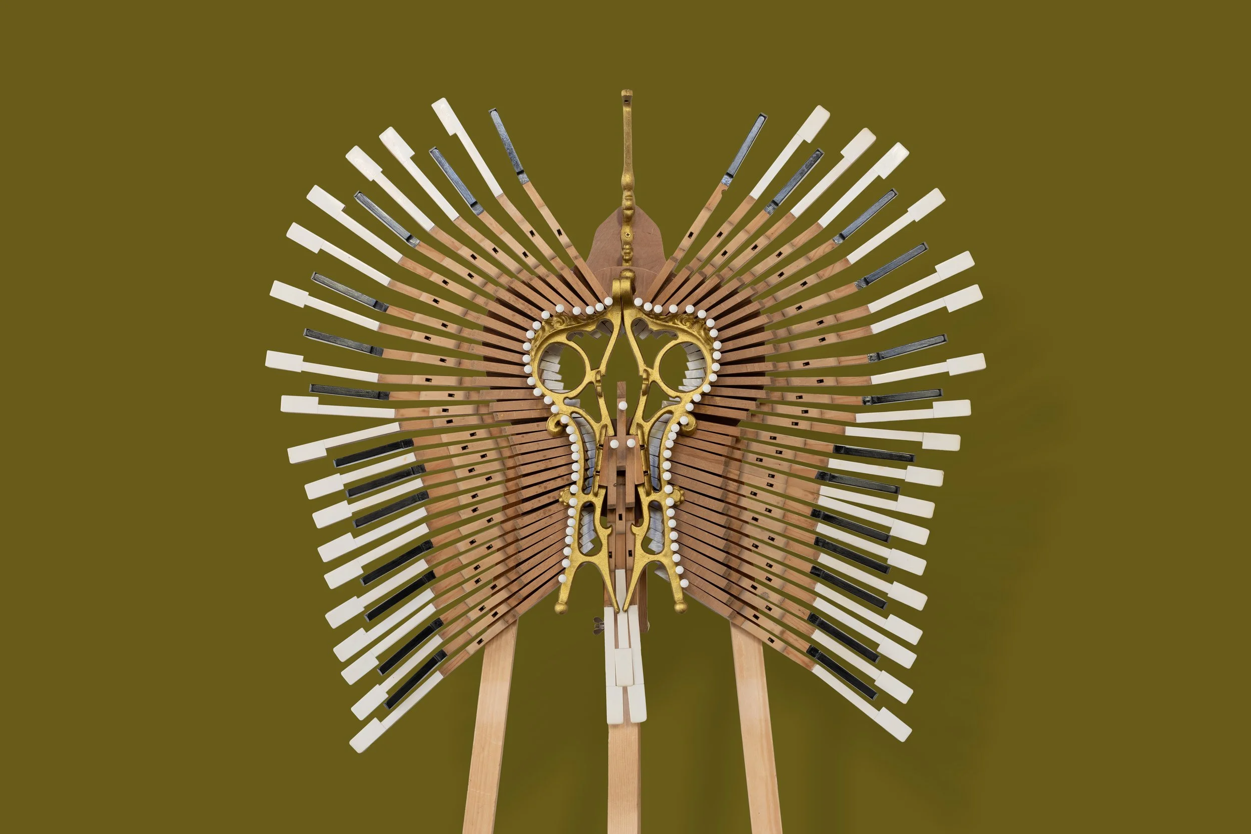 Vogel 1 close up.jpg