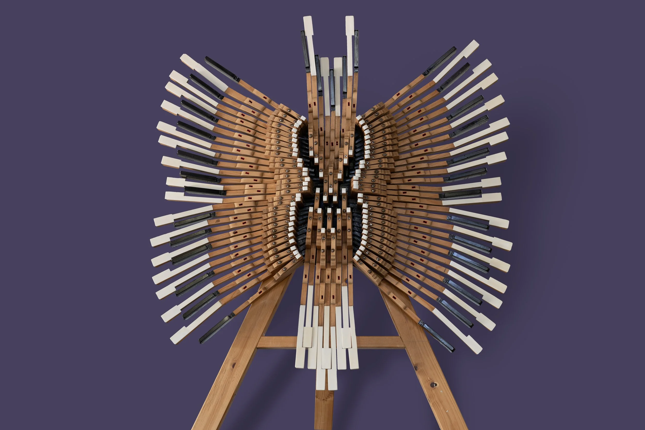 Vogel 2 close up.jpg