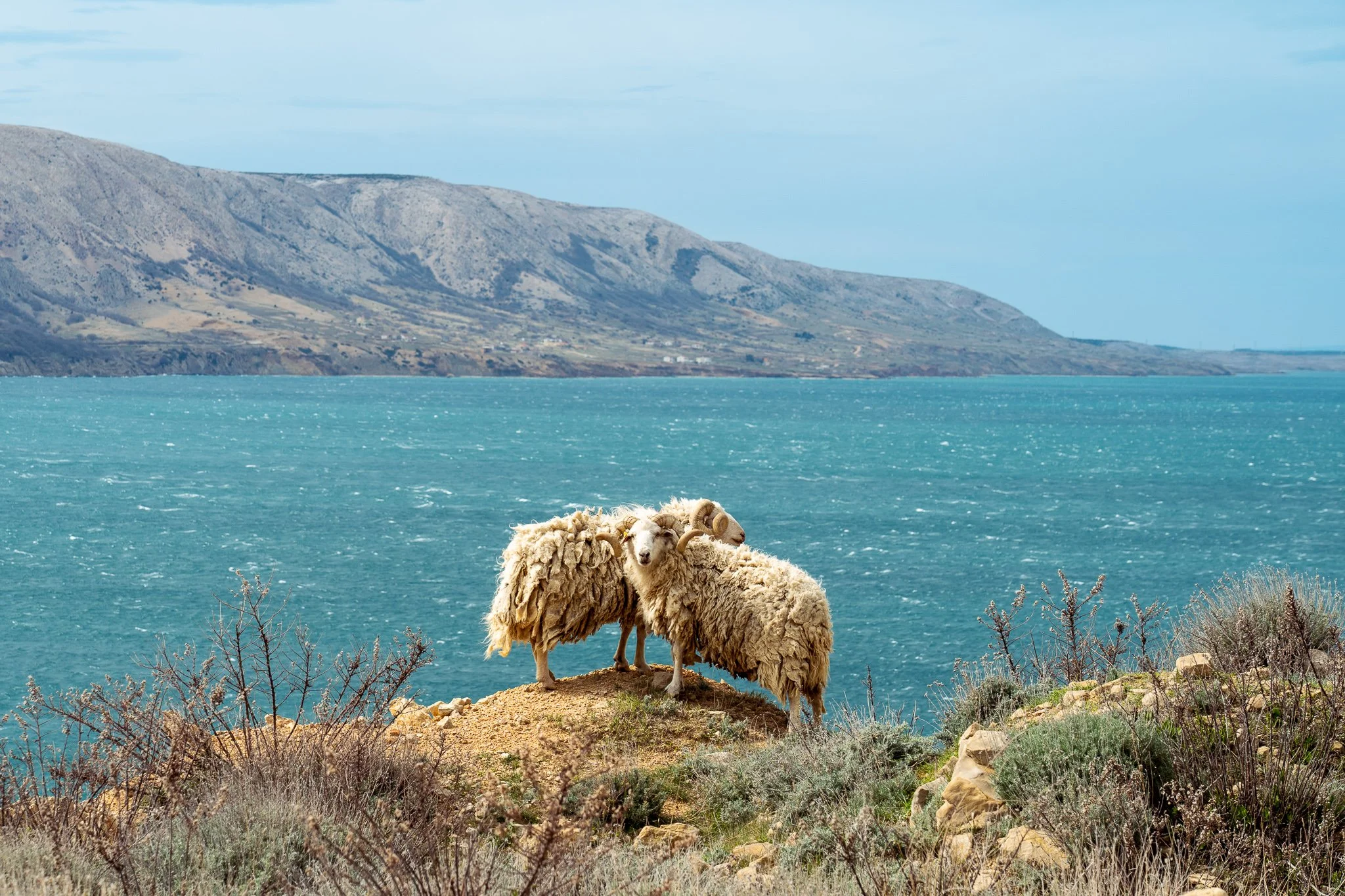 ile de pag