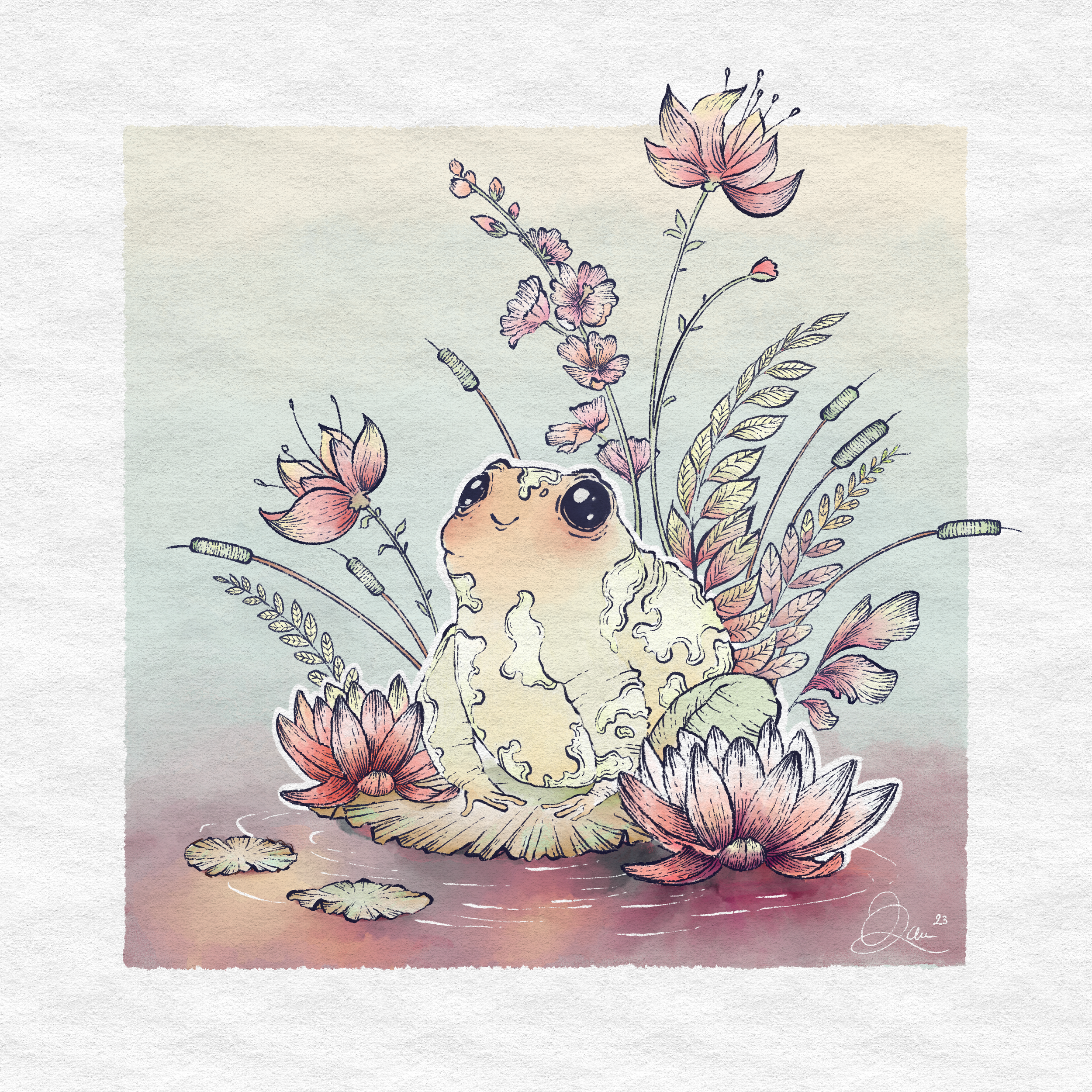 Toad