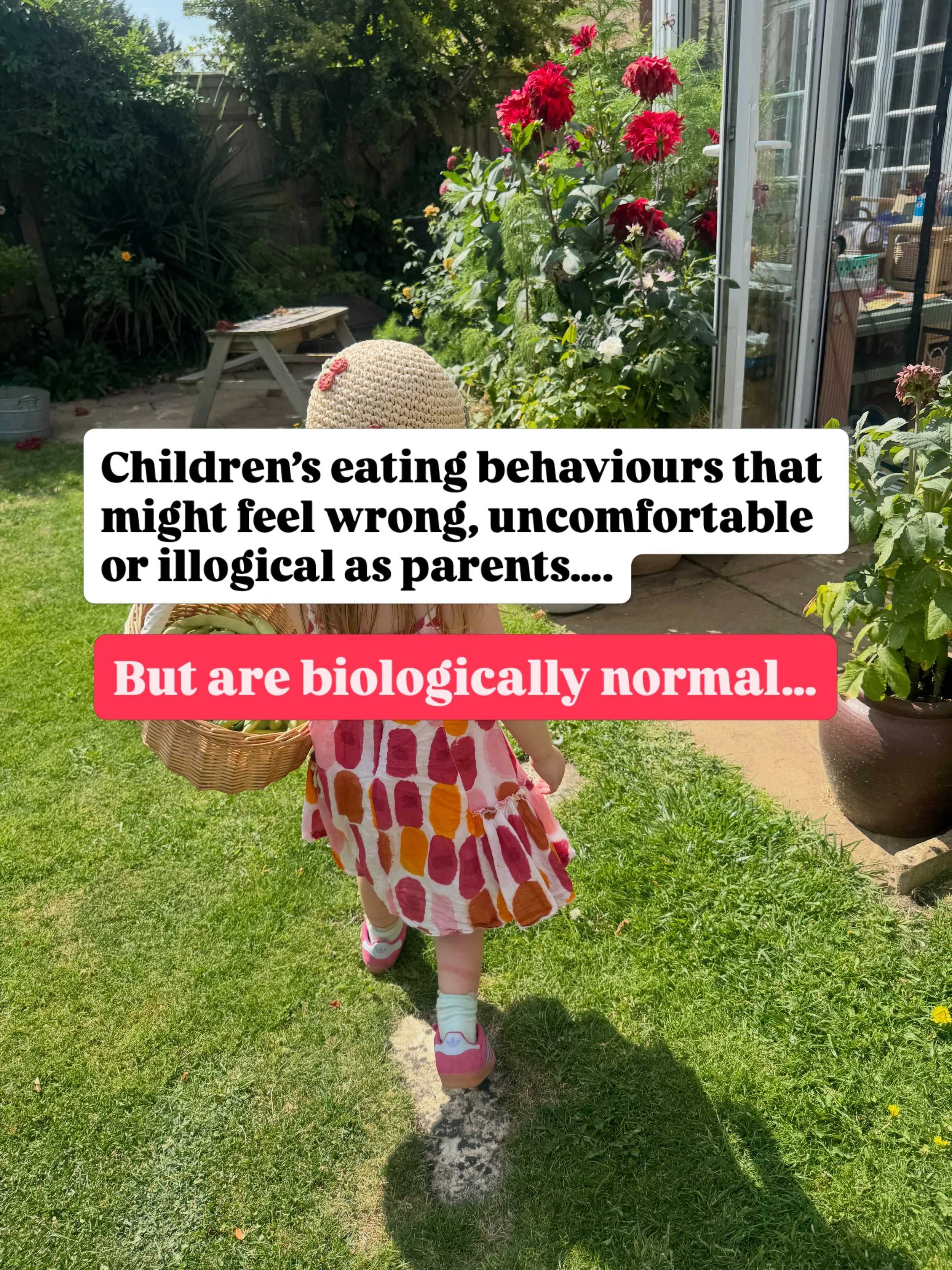 Your child&rsquo;s eating habits might not be broken&hellip;.

The start of a little series unpacking kids eating habits to normalise the hell out of them and help parents understand what&rsquo;s actually going on, keep expectations appropriate for o