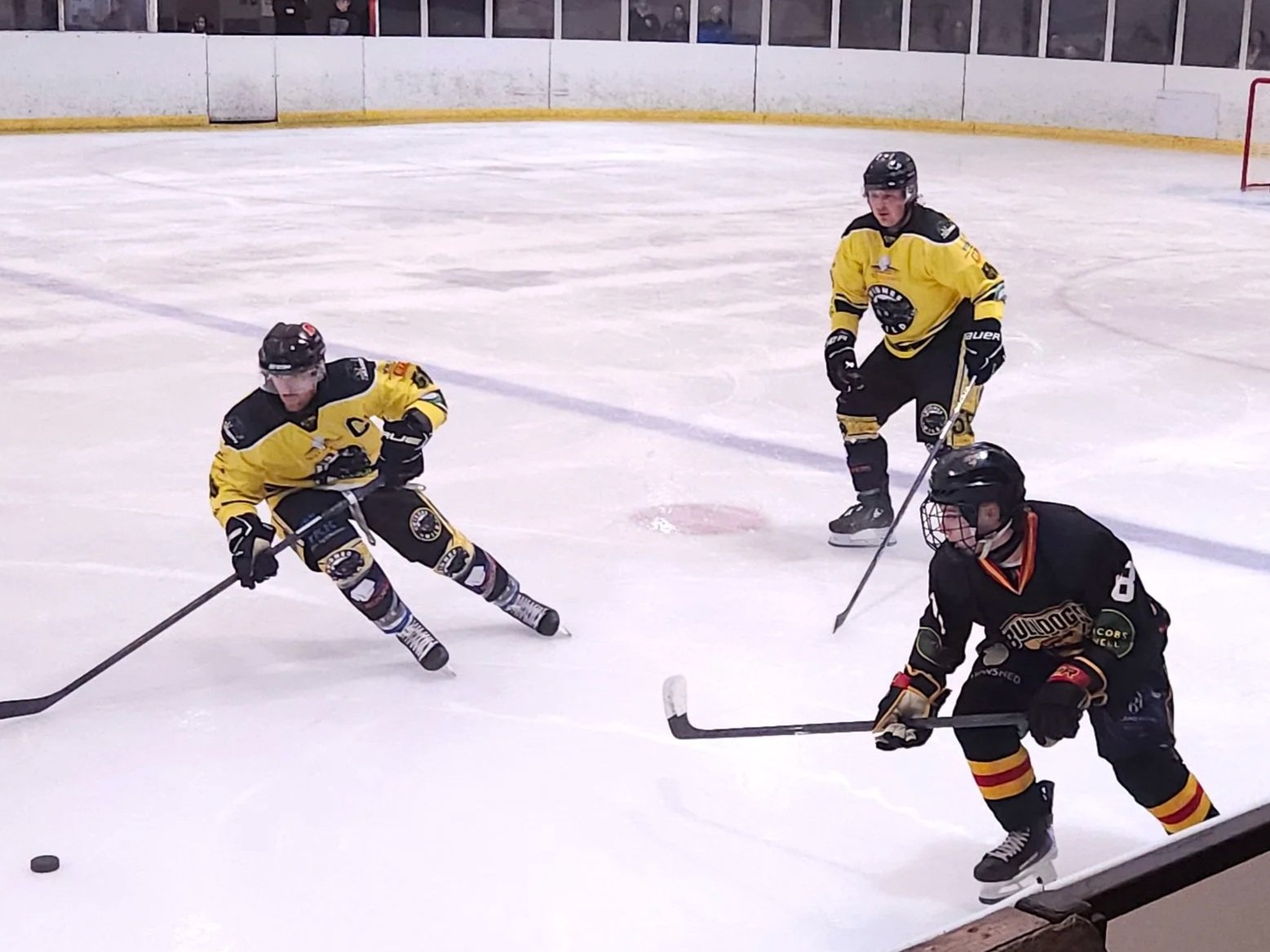 Match report: Bulldogs v Widnes Wild 2