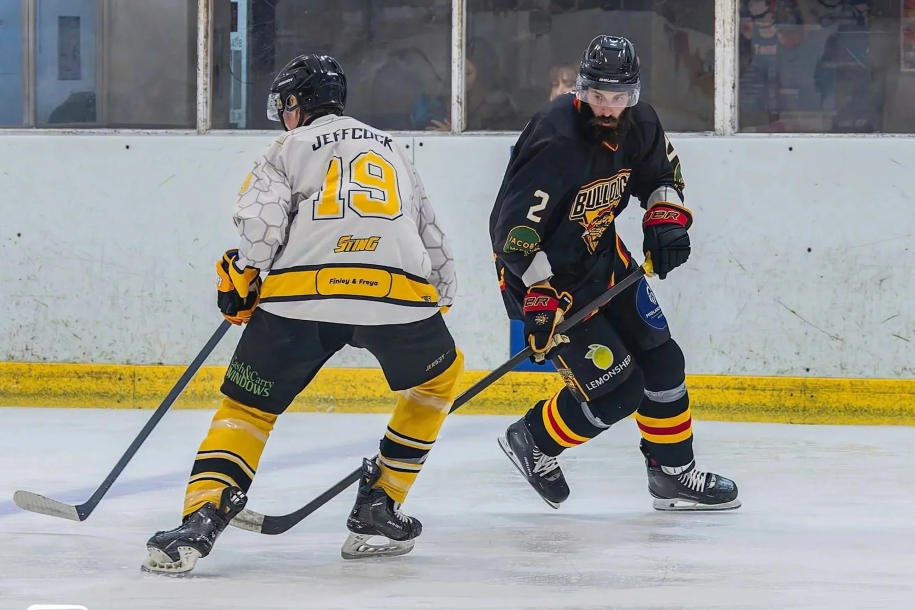 Match report: Bradford Bulldogs v Sutton Sting