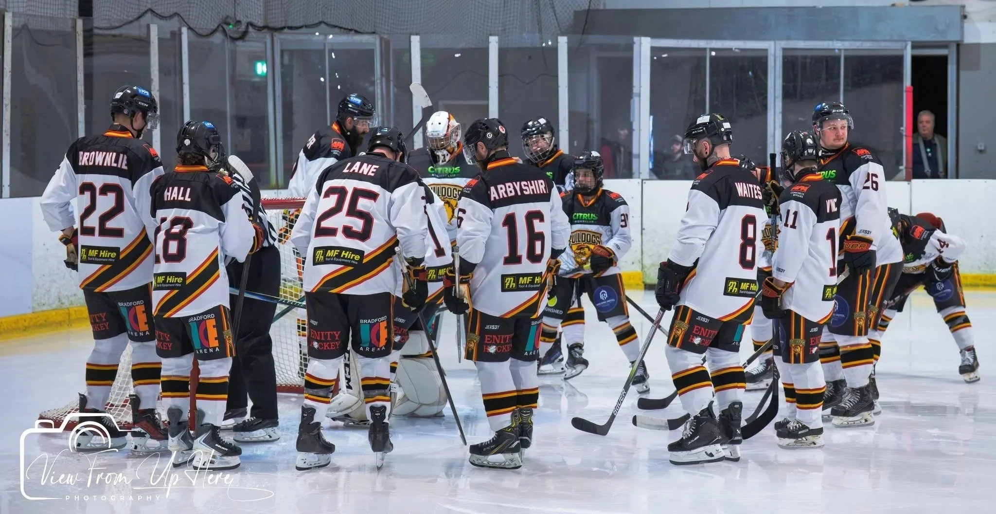Bulldogs v Sutton Sting - match report
