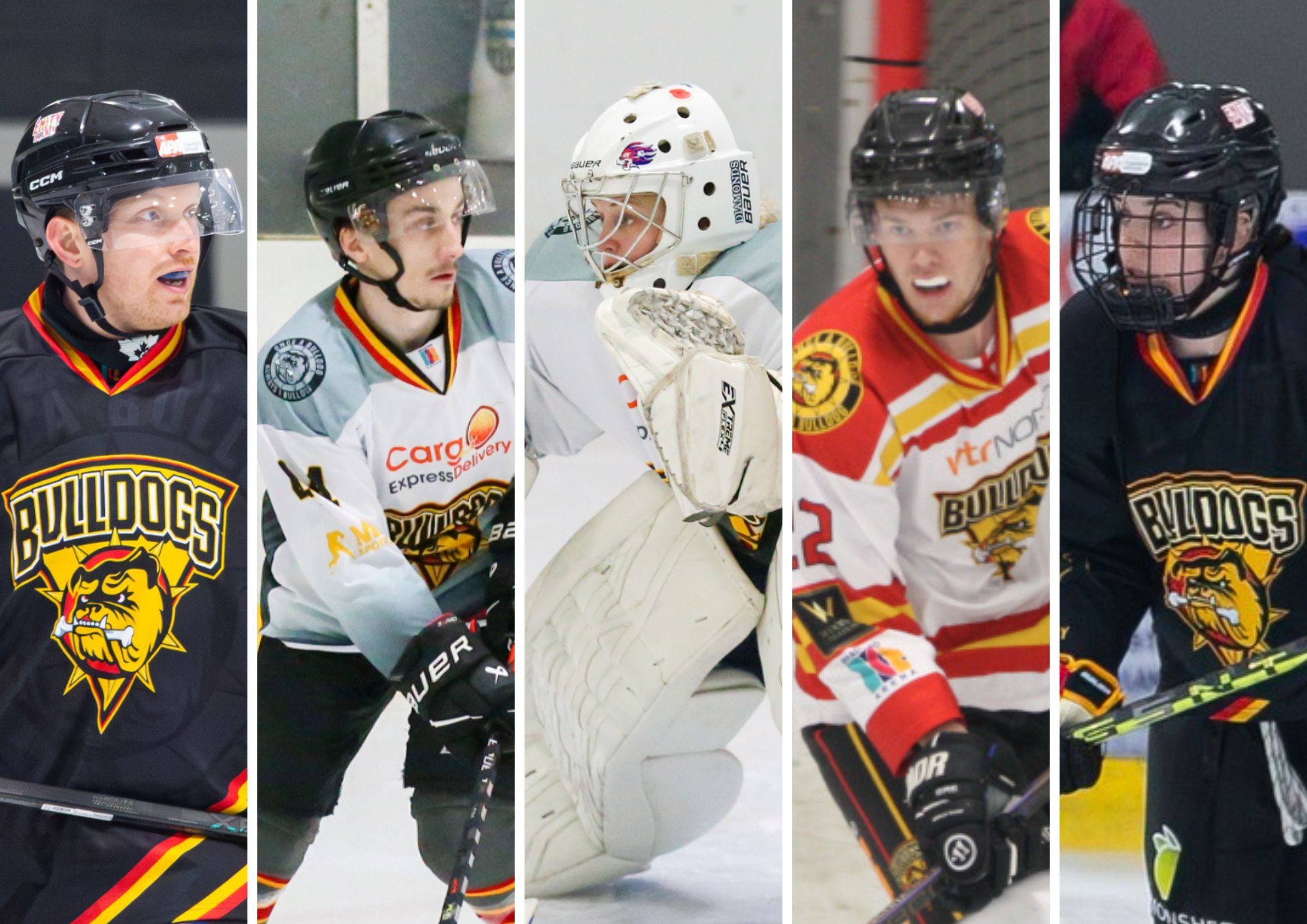 Bulldogs quickly building 2026-27 NIHL North Two roster