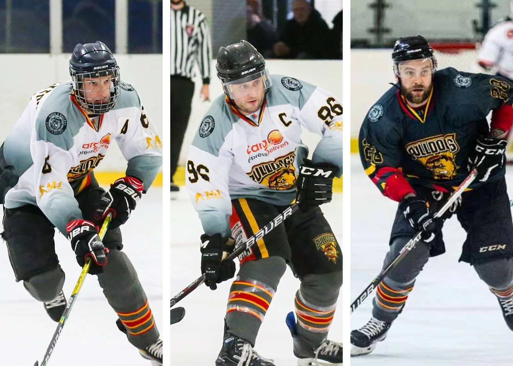 News — Bradford Bulldogs