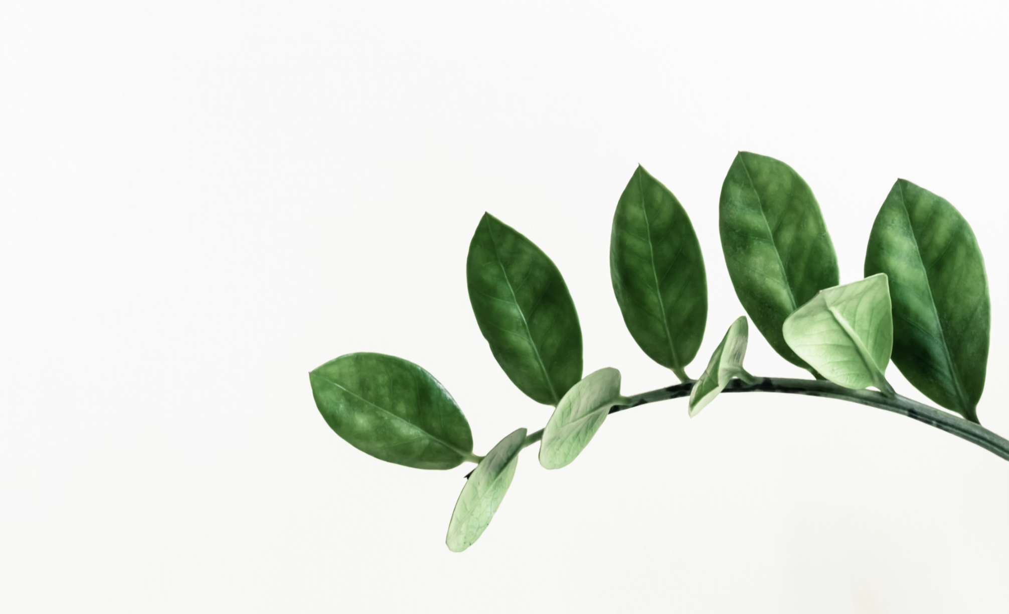 Myofascial Release Workshop | Release &amp; Restore