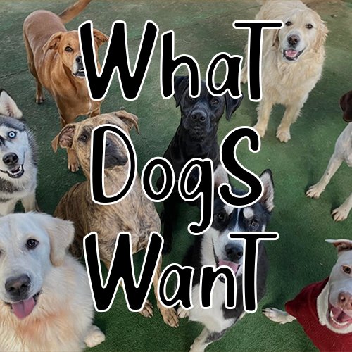 What dogs want.jpg
