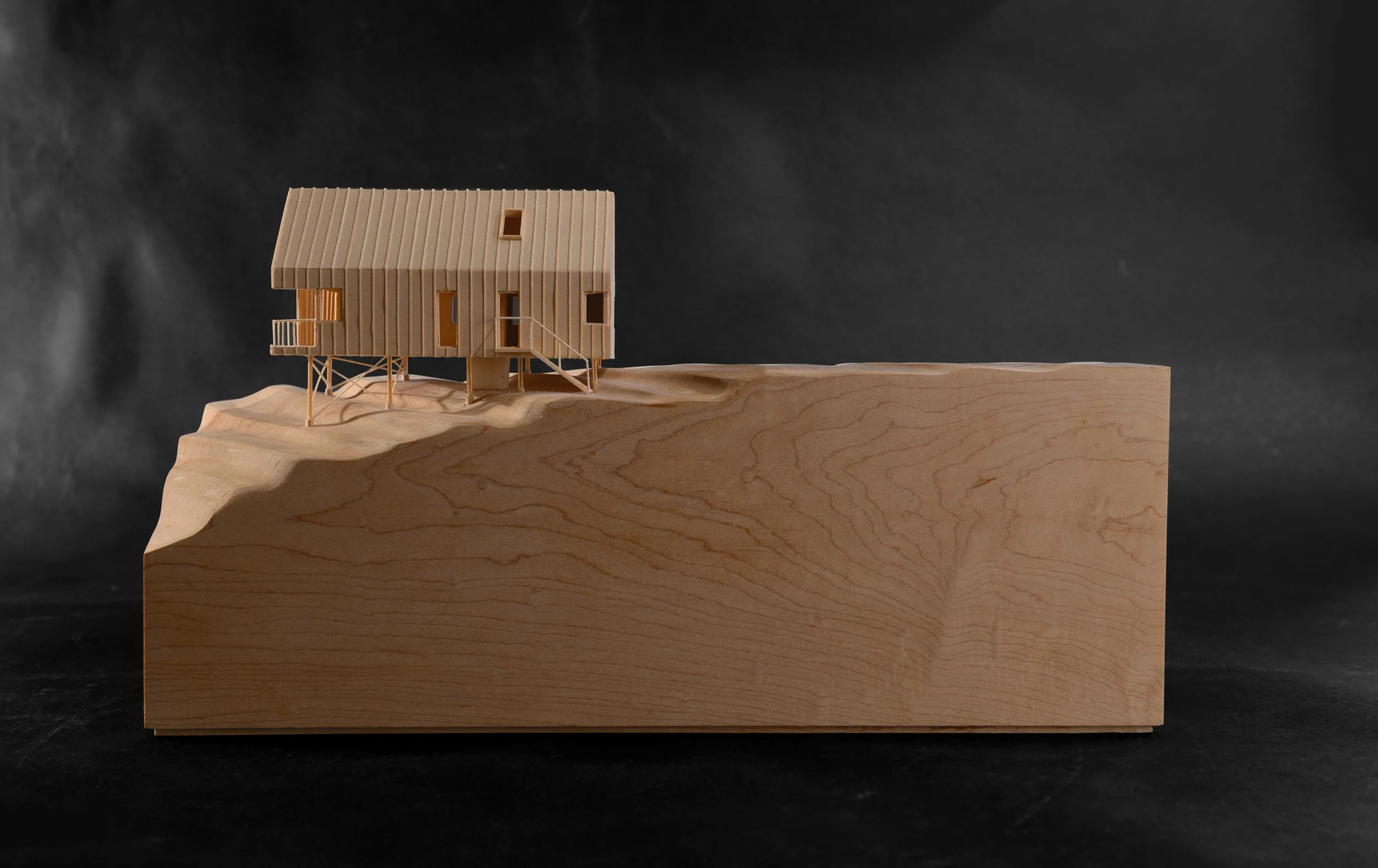 Brooklyn Shore_1_colour.jpg