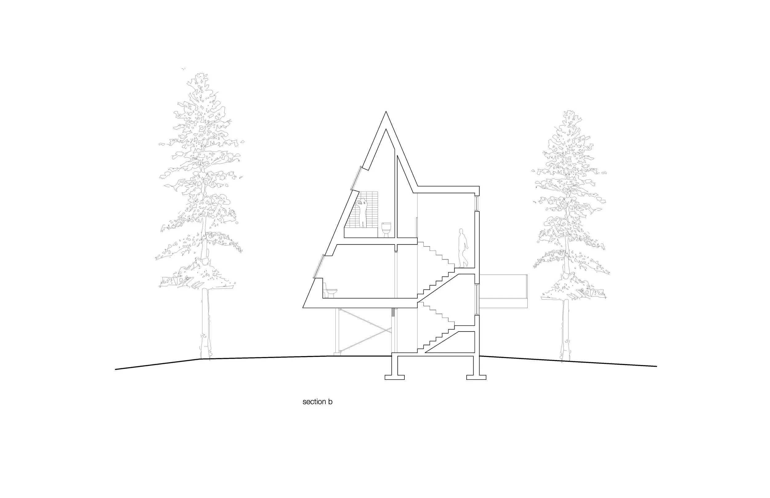 section b.jpg
