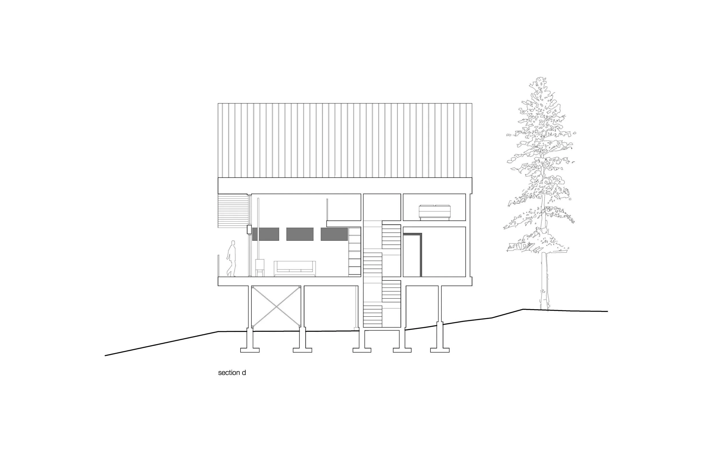 section d.jpg