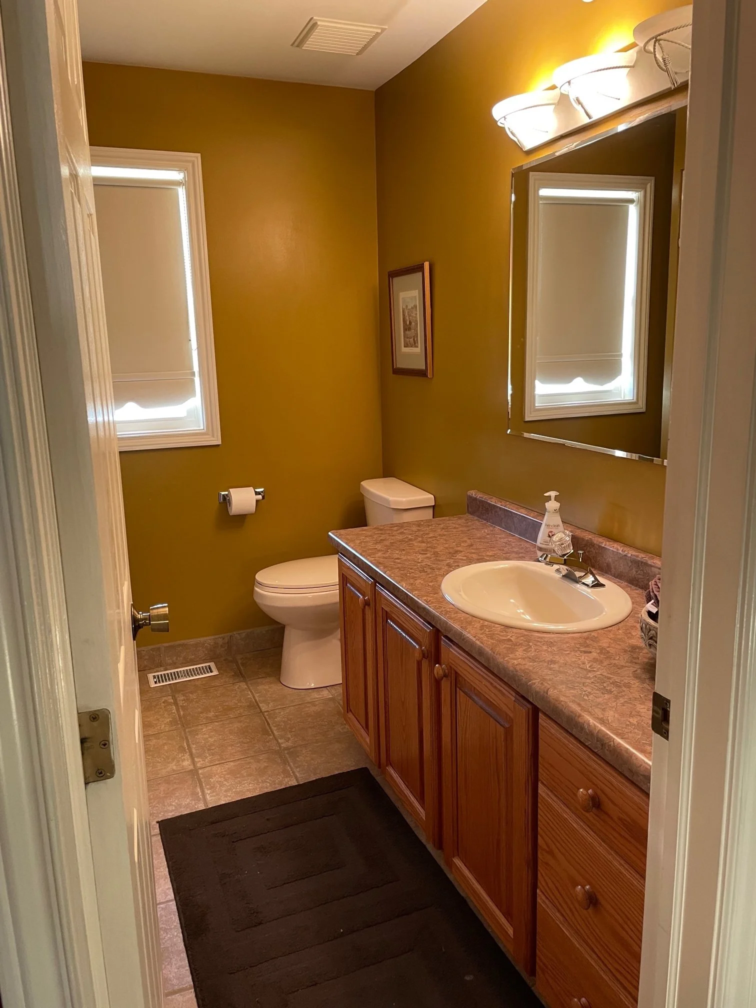 Susan Bathroom Before.jpg