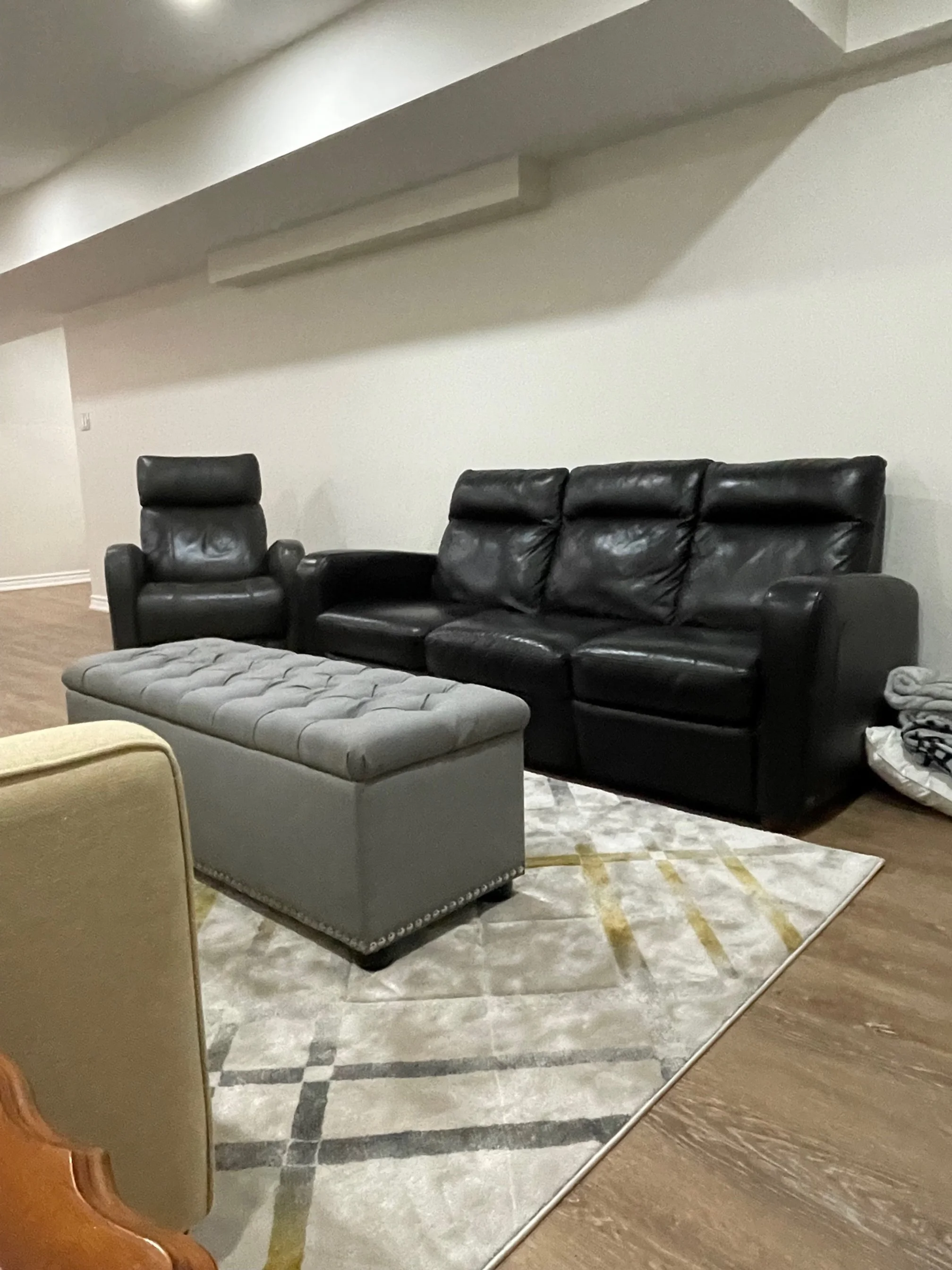 Angela b4 black couch.jpg