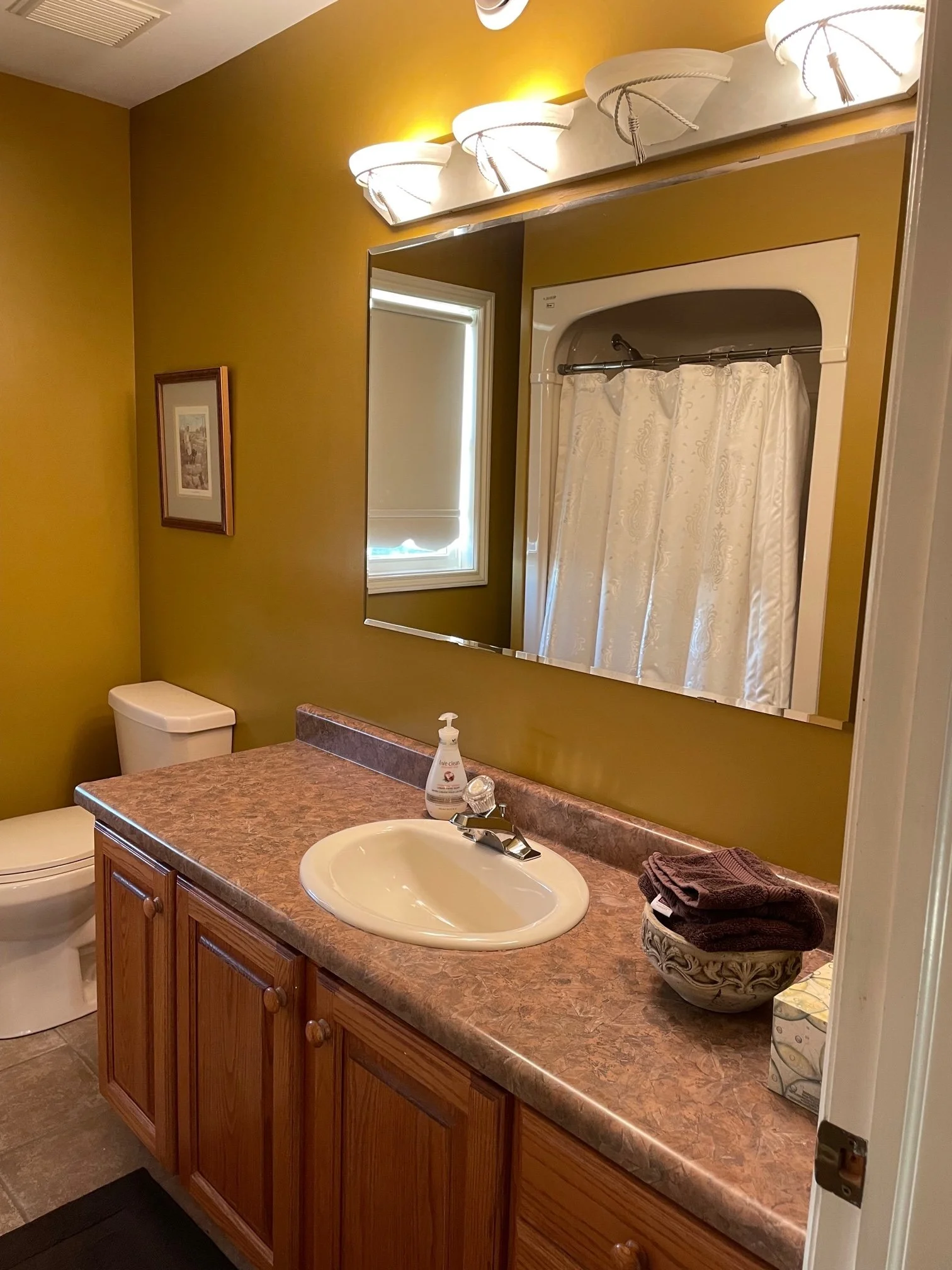 Susan Bathroom Before Closeup.jpg