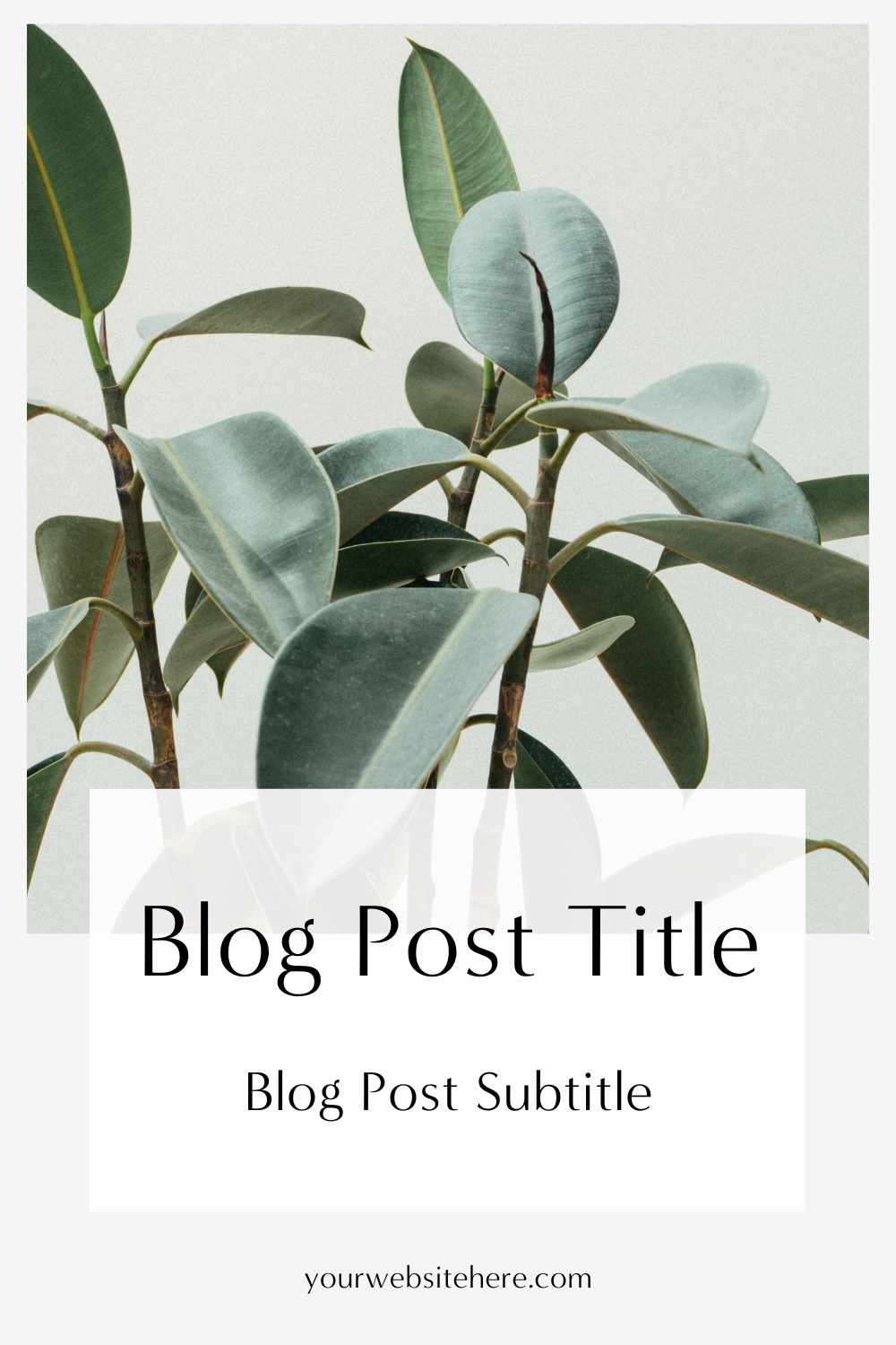 Blog Post Title Two