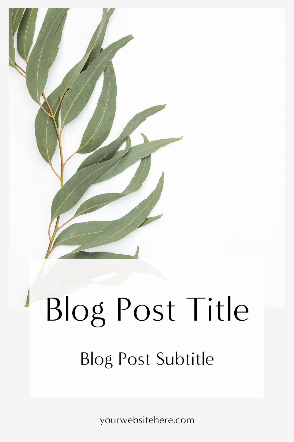 Blog Post Title Three