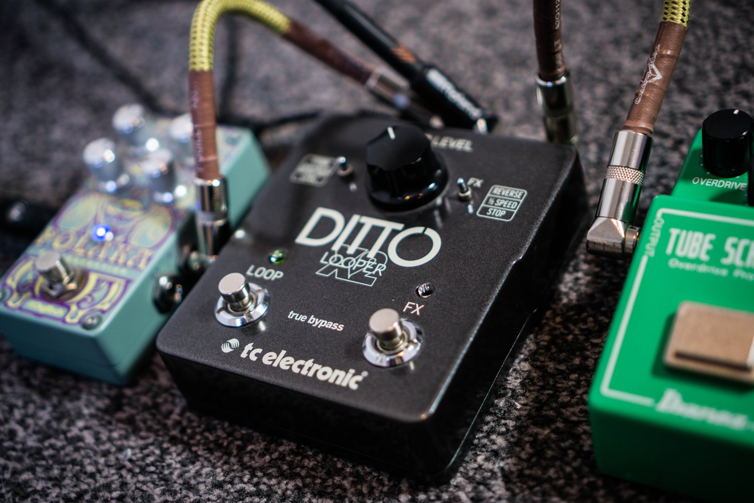 TC Electronic Ditto Looper X2 Review — The Gear Check