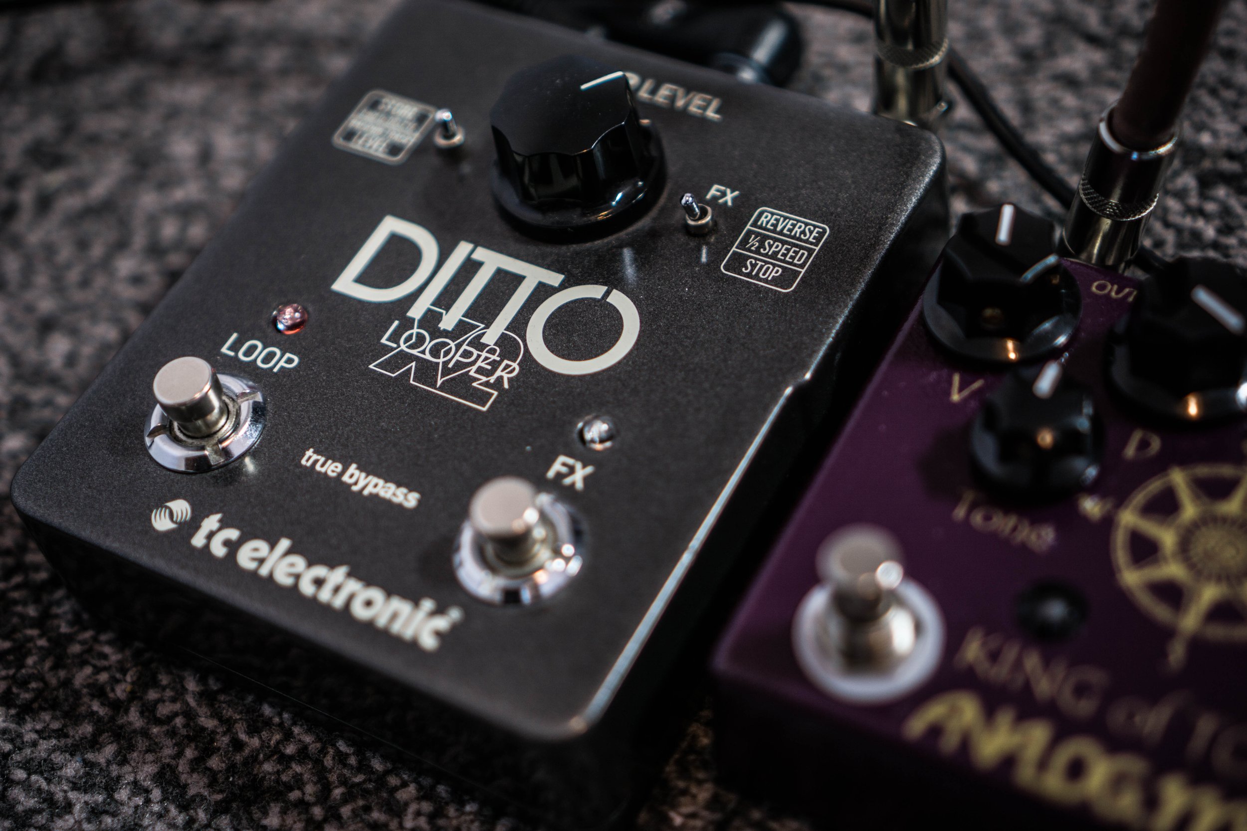 TC Electronic Ditto Looper X2 Review — The Gear Check