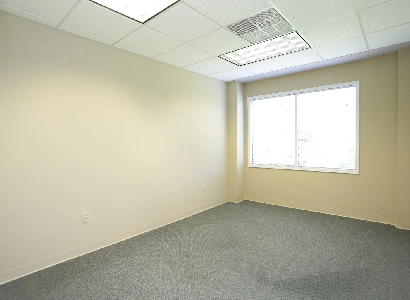 image (36).png