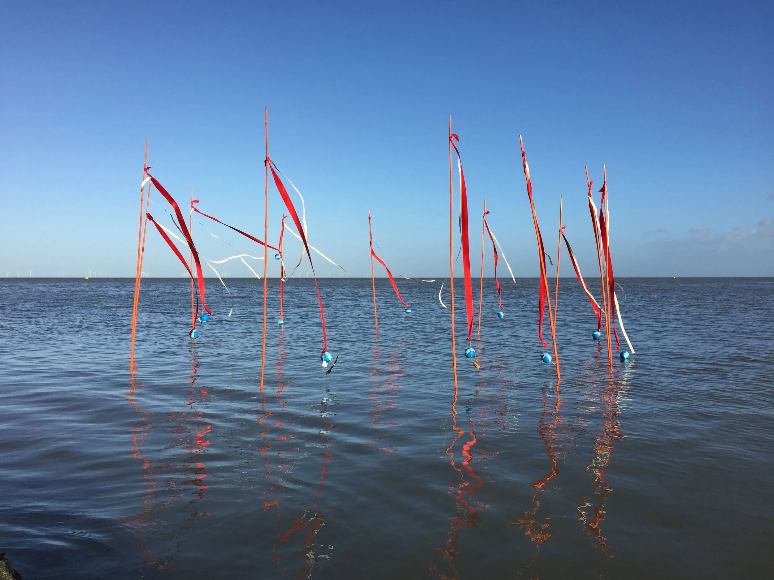 2015-12-31 12.28.00 low res.jpg