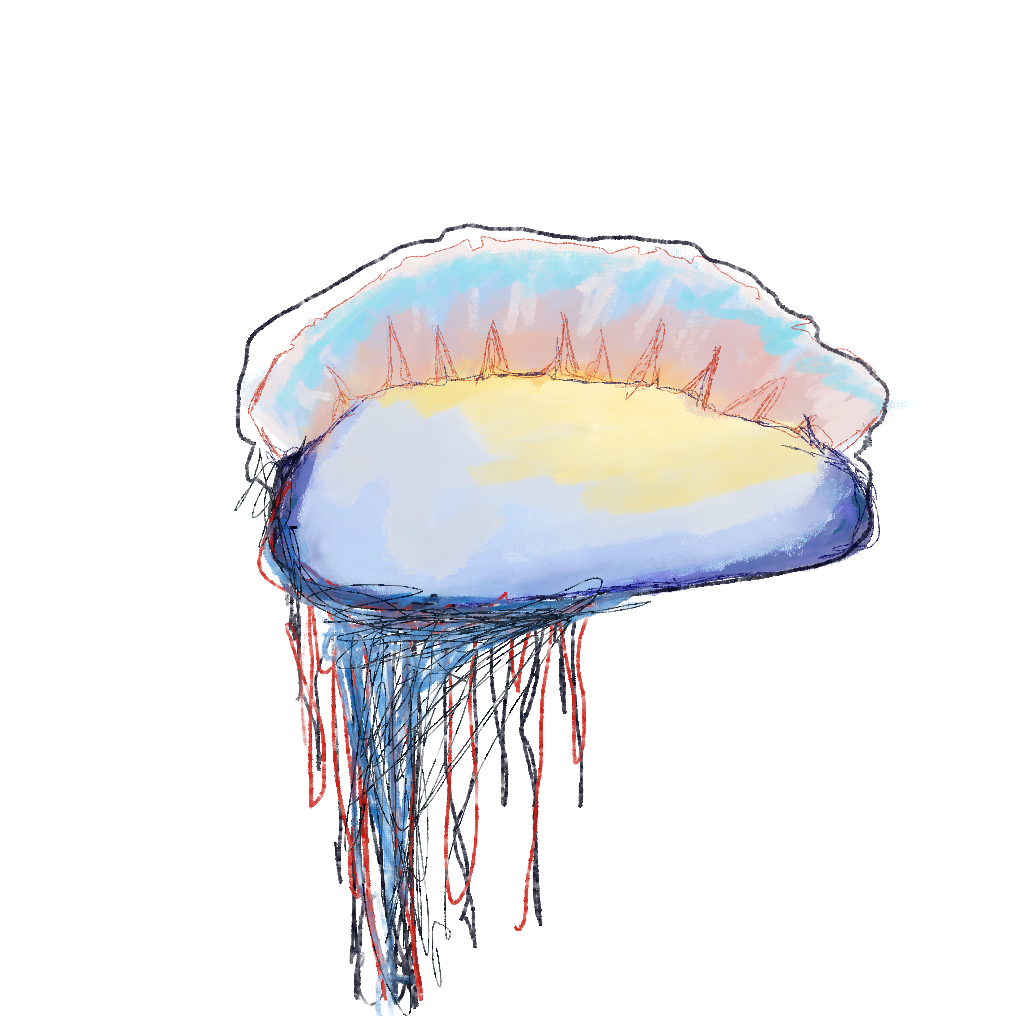 Untitled_Artwork 337.png