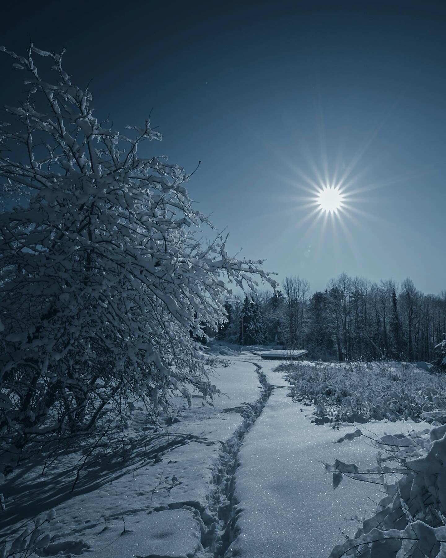 Winter morning walks in Muskoka.⁠
⁠
📸  by @loki_highlock⁠