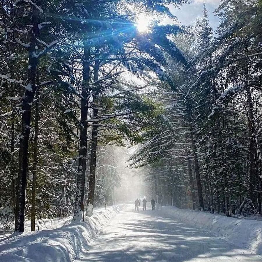 The amazing 1.3 km ice skating trail through @arrowheadprovpark awaits your arrival.⁠
⁠
Check park updates for Fire and Ice nights at the park.⁠
⁠
Permits must be booked in advance at @ontarioparks