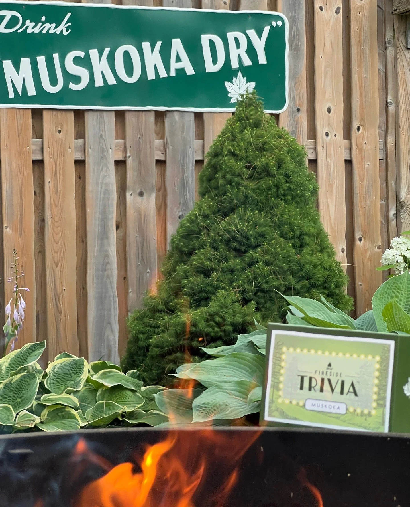 ⁠
A fun game for all ages, easy to play and lots to learn about Muskoka along the way!⁠
⁠
Fireside Trivia&trade; is now available online at muskokasprings.com or at one of these fine local retailers!⁠
⁠
@thebluewillowteashop - Gravenhurst - Muskoka W
