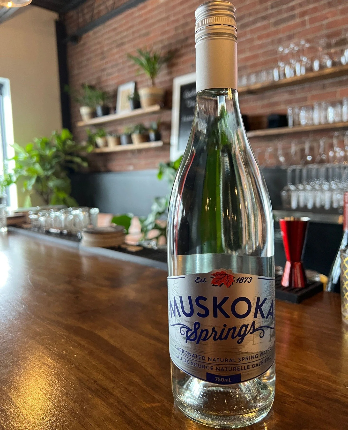 Looking for a little effervescence in your life?? The search is over as we've launch our new Muskoka Springs Natural Spring Water in a 750ml Glass Bottle format. (Sparkling or Still)⁠
⁠
Add a little elegance to your meal or when entertaining at home.