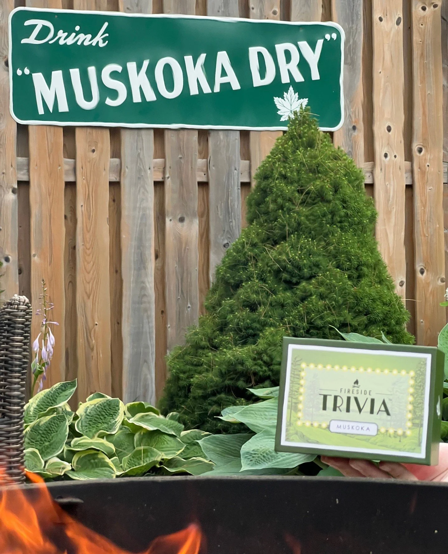 🎄✨ Searching for that perfect Muskoka Christmas gift or a fun stocking stuffer? Look no further! 🎁✨ Our Fireside Trivia - Muskoka Edition is the ideal way to celebrate the season with family and friends! ⁠
⁠
Gather around the fire, test your knowle