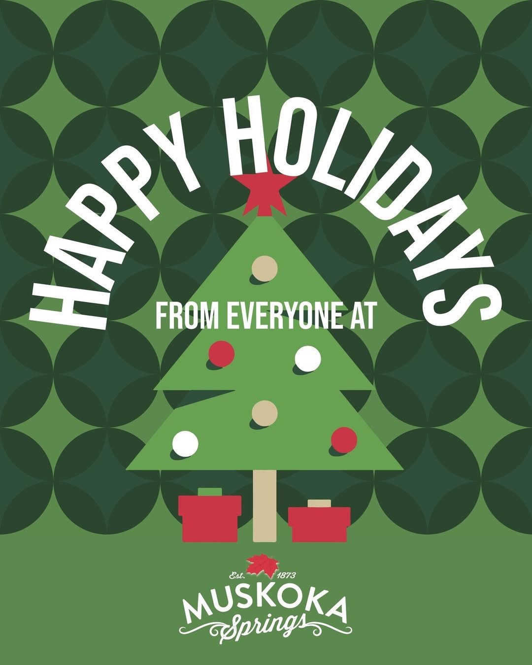 🎉 Happy holidays from all of us at Muskoka Springs! As we cozy up in this beautiful winter wonderland, I can't help but reflect on the breathtaking moments we've shared with nature this year. Whether you&rsquo;ve been hiking our trails, paddling our