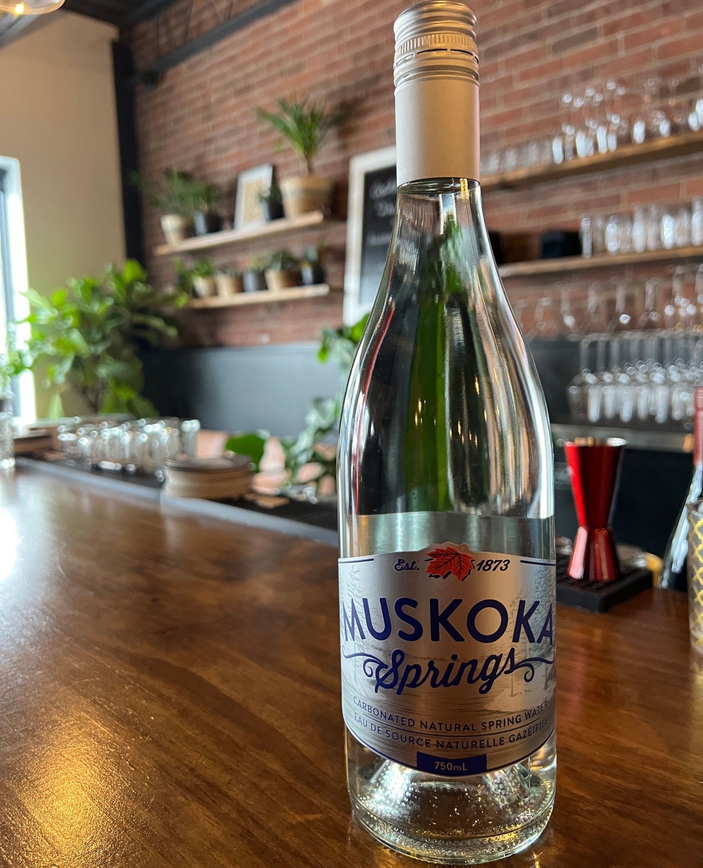 Ready to elevate your hydration game? Our Muskoka Springs stylish 750ml Glass bottles comes in either Spring Water or Carbonated - is perfect for any occasion&mdash;whether you're hosting a picnic, enjoying a backyard BBQ, or just chilling at home! G