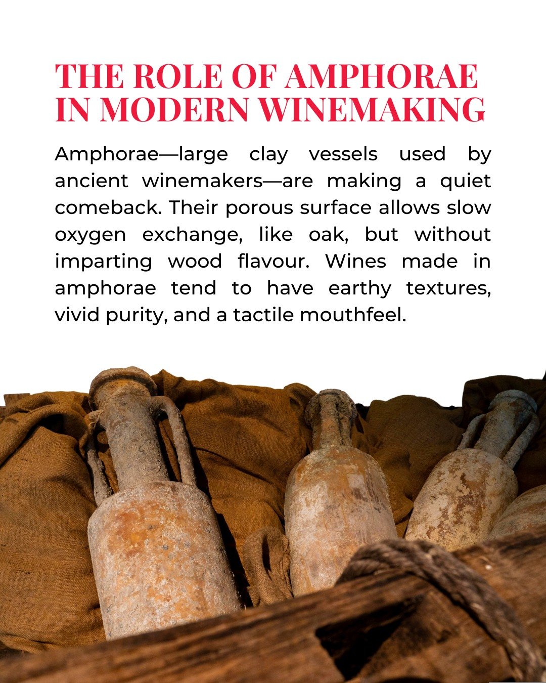 Ancient techniques are finding new life in modern cellars. Amphorae offer a neutral yet breathable environment, allowing wines to evolve slowly and develop earthy character without oak influence. It&rsquo;s tradition, refined. Their use reflects a gr